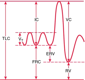  Subdivisions de la capacité pulmonaire totale: TLC, capacité pulmonaire totale; V, volume courant; IC, capacité inspiratoire; FRC, capacité résiduelle fonctionnelle; ERV, volume de réserve expiratoire; VC, capacité vitale; RV, volume résiduel.